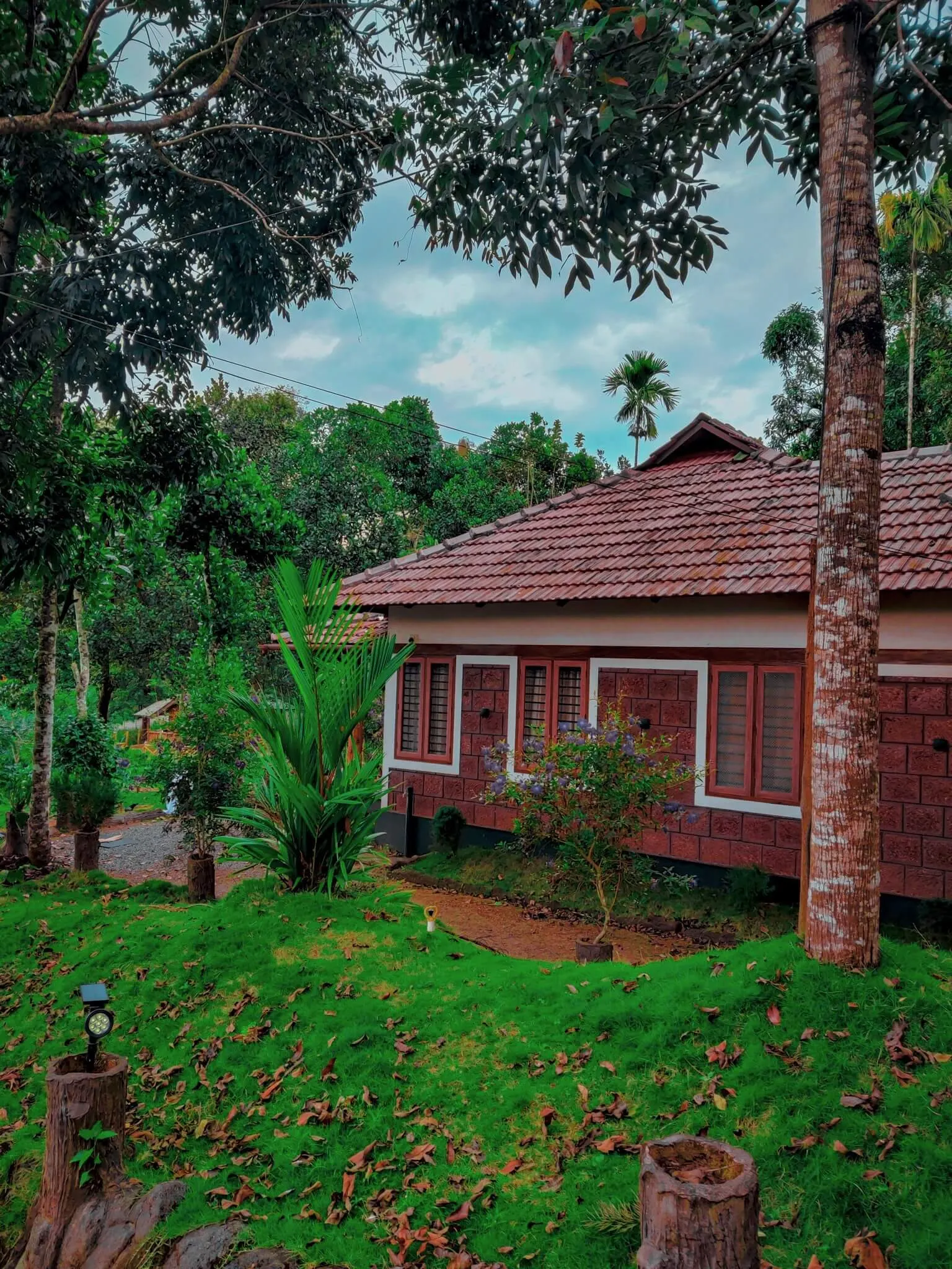 The tiled-roof homestay building seen across the lawn through tall trees