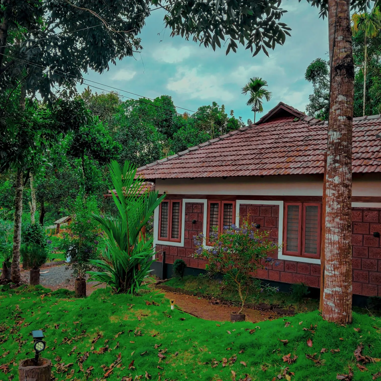 The homestay building behind flowering shrubs and tall trees