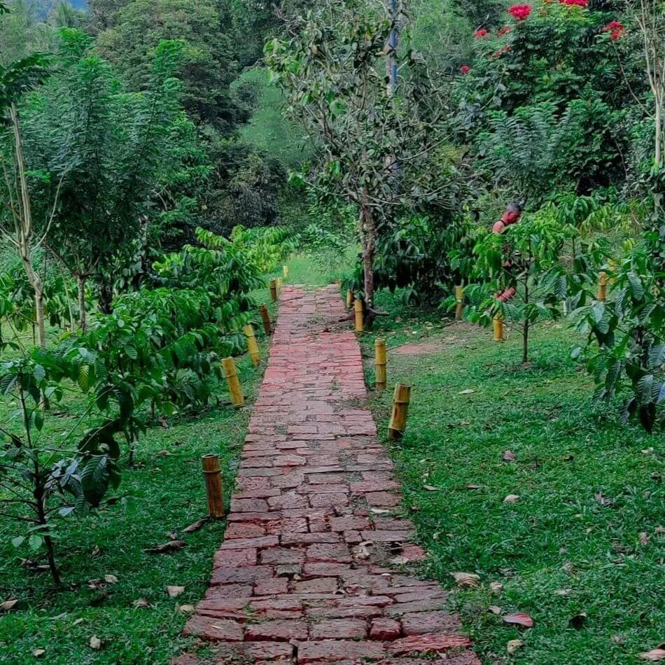 A brick path climbing through the planted garden