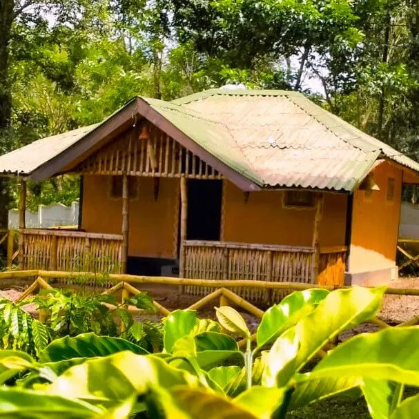 The bamboo hut seen over banana plants in the garden