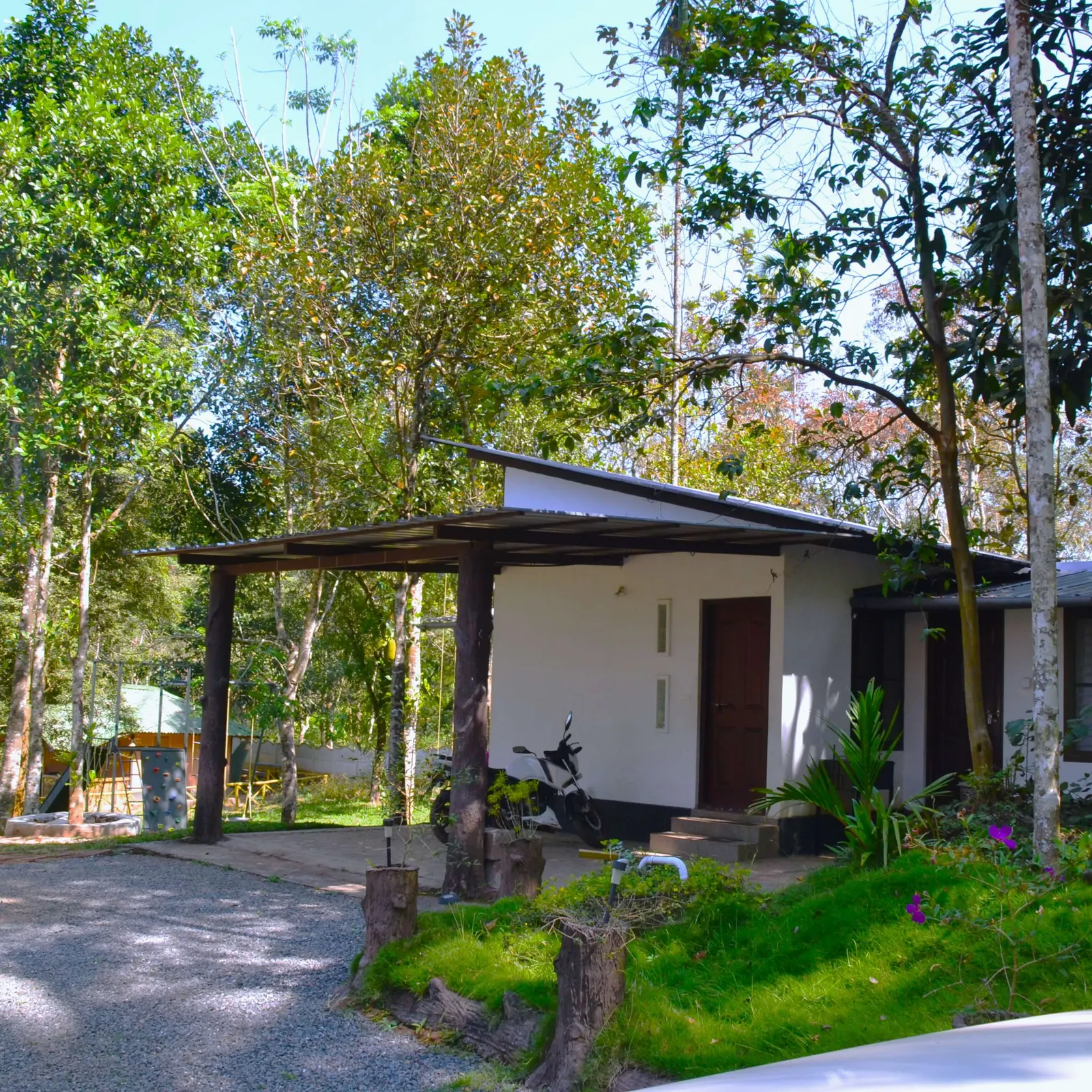 A white cottage with a timber pergola over its entrance, among the trees
