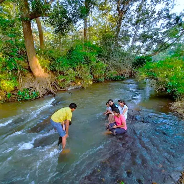 People sitting on the rocks of a shallow stream shaded by trees