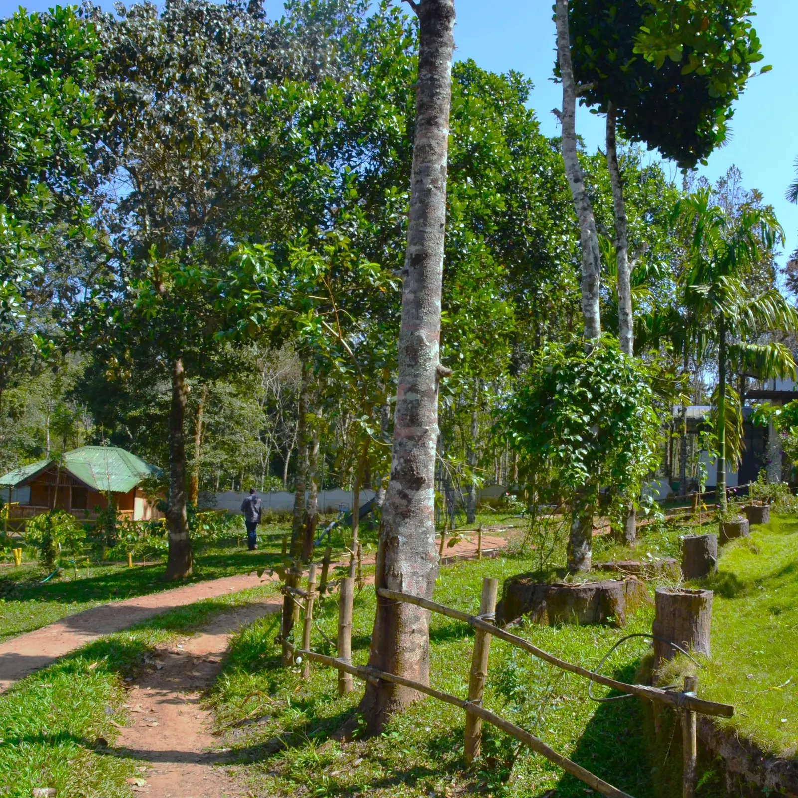 A path through the grounds between trees and a wooden fence