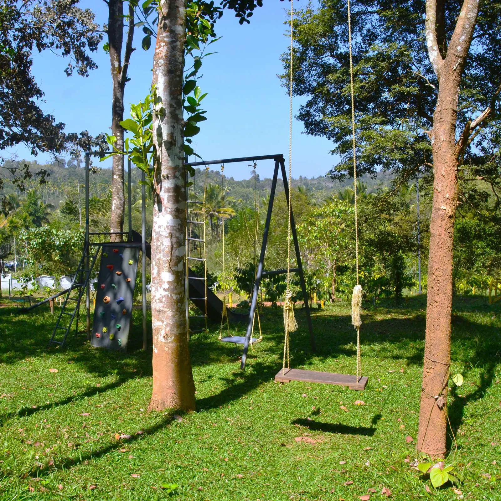 A swing seat hung between trees on the lawn